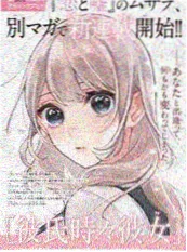 旧书店的猫 漫画封面